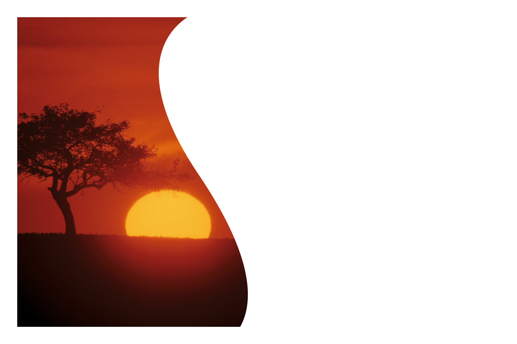 La savane