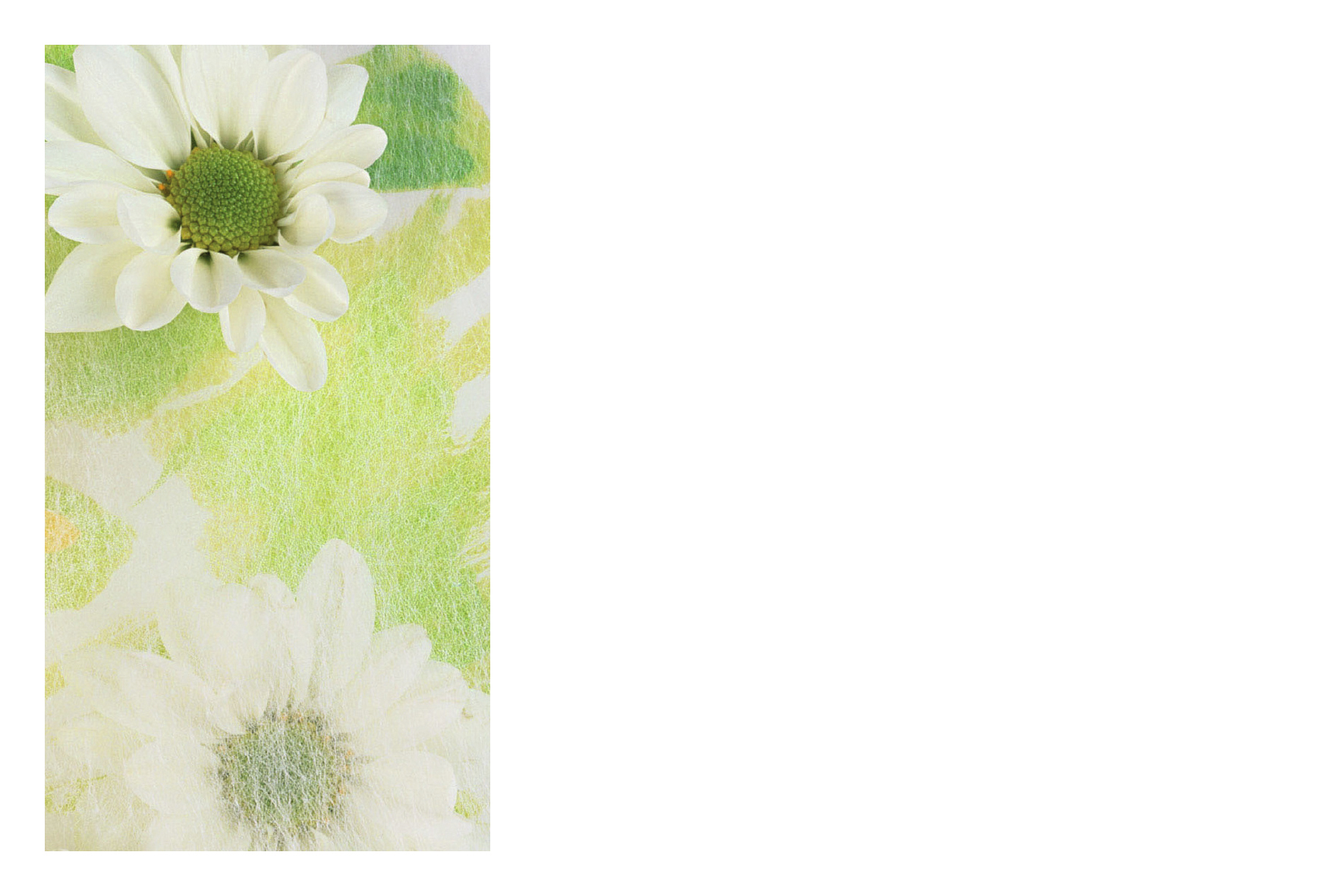 Tournesols