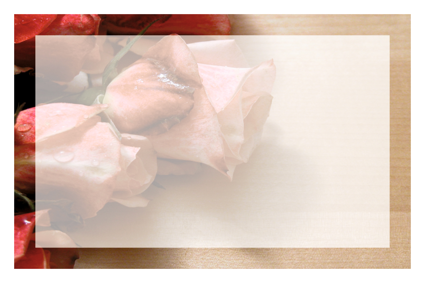 Bouquet de roses